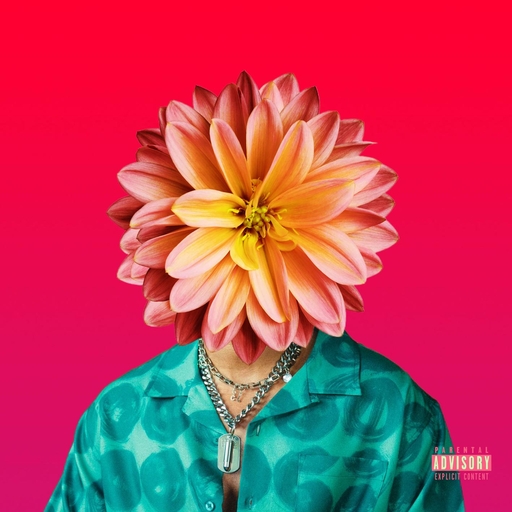 荡暴露狂女娃⒣
